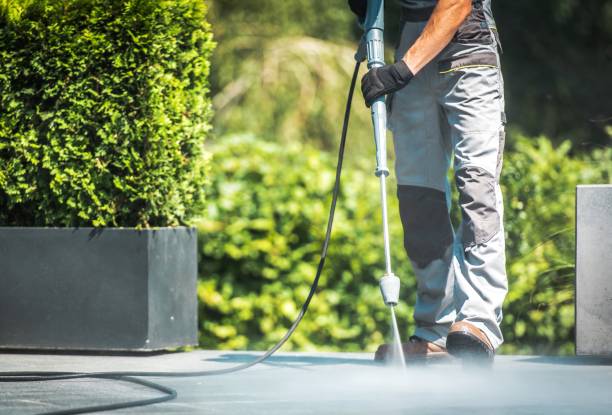 Best Paint Preparation  in West Pittston, PA