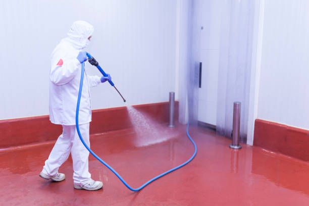 Best Heavy Equipment Washing  in West Pittston, PA